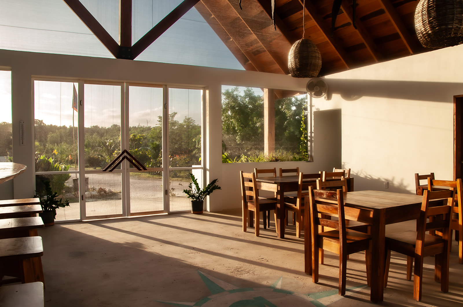 Sunlight falls across wooden tables in Belizima’s dining area.